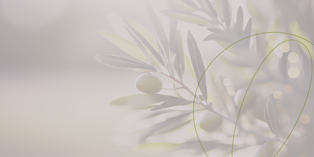 closeup-olive-fruit-tree-branch-olive-garden-sunlight-background-design-ai-generated